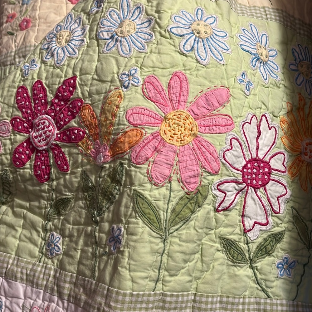 Pottery barn girls flowered crib Quilt